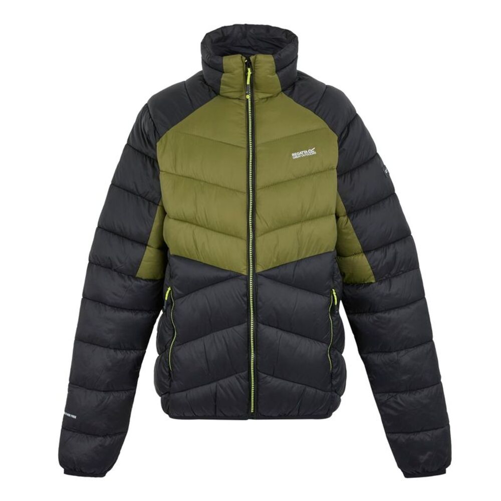 Regatta Mens Dalent Padded Jacket / Nephrite Green/Black